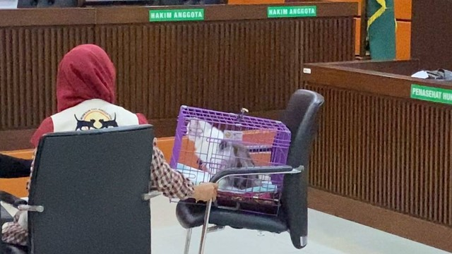 Viral di Tiktok! Kucing Dicekoki Miras, Pelaku Divonis 2 Bulan Penjara(JakartaInside.com)