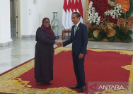 Presiden Jokowi terima kunjungan Presiden Tanzania di Istana Bogor