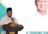 Prabowo-Gibran: Soal Kabinet hingga Pesan dari Luhut