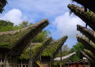 Toraja Dimana?