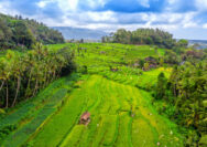 Bagaimana Keadaan Alam Indonesia Mempengaruhi Persebaran Penduduk di Wilayah-wilayah Tertentu? Simak 6 Hal Ini