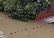 Banjir di Bekasi: Puluhan Titik Terendam, Warga Mengungsi