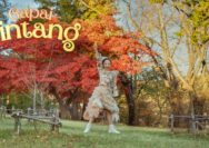 Etenia Croft Rilis Single “Gapai Bintang”, Ajak Anak Indonesia Kejar Mimpi
